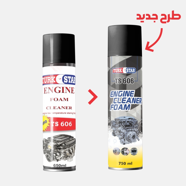 ENGINE CLEANER TS 606